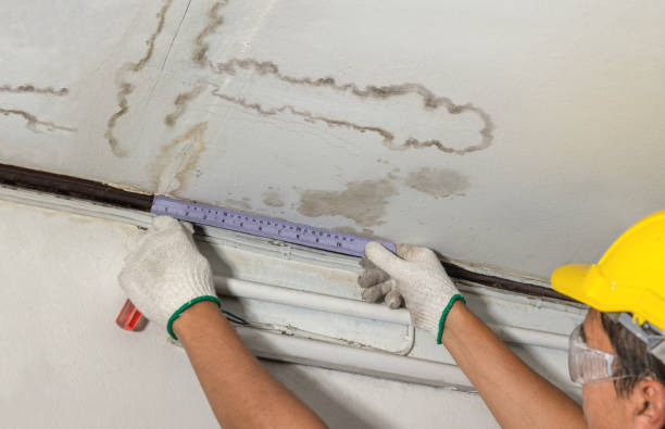 Reliable Water Removal contractor in Lawton, MI by Water Damage Irwin